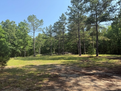 Wooded Land For Sale In Tn With No Restrictions - image 1