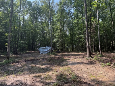 Wooded Land For Sale In Tn With No Restrictions - image 19