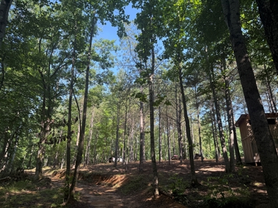 Wooded Land For Sale In Tn With No Restrictions - image 26