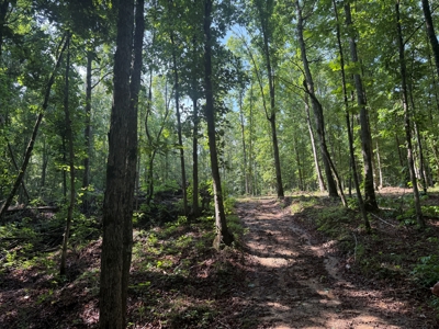 Wooded Land For Sale In Tn With No Restrictions - image 10