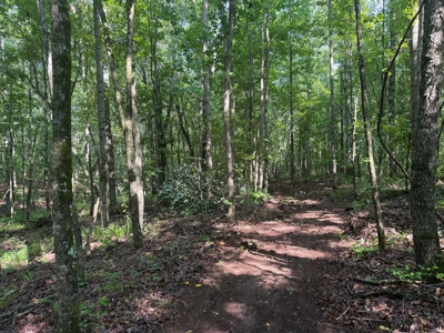 Wooded Land For Sale In Tn With No Restrictions - image 23