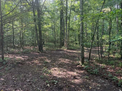Wooded Land For Sale In Tn With No Restrictions - image 13