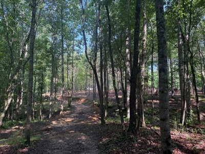 Wooded Land For Sale In Tn With No Restrictions - image 9