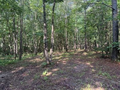 Wooded Land For Sale In Tn With No Restrictions - image 16