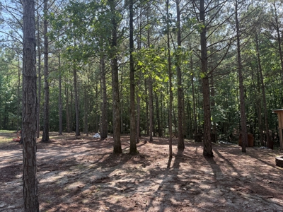 Wooded Land For Sale In Tn With No Restrictions - image 29