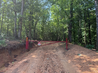 Wooded Land For Sale In Tn With No Restrictions - image 5