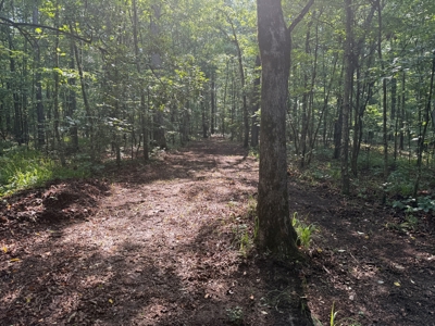 Wooded Land For Sale In Tn With No Restrictions - image 12