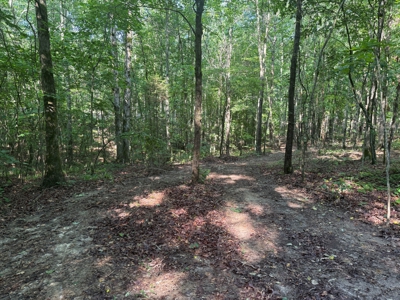 Wooded Land For Sale In Tn With No Restrictions - image 17