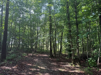 Wooded Land For Sale In Tn With No Restrictions - image 20