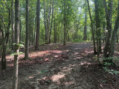 Wooded Land For Sale In Tn With No Restrictions - image 18