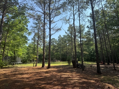 Wooded Land For Sale In Tn With No Restrictions - image 27