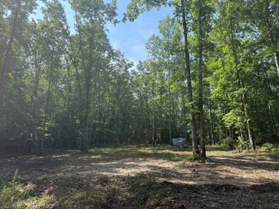 Wooded Land For Sale In Tn With No Restrictions - image 6