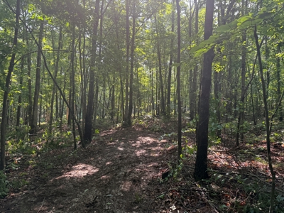 Wooded Land For Sale In Tn With No Restrictions - image 25