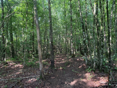 Wooded Land For Sale In Tn With No Restrictions - image 22