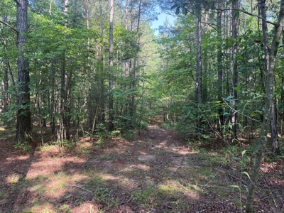 Wooded Land For Sale In Tn With No Restrictions - image 15