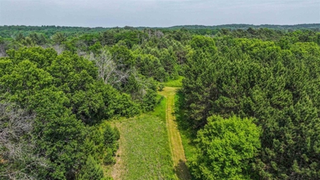 Vacant Land For Sale in Waupaca, WI - image 9
