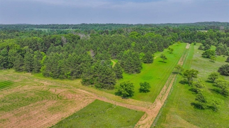 Vacant Land For Sale in Waupaca, WI - image 5