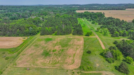 Vacant Land For Sale in Waupaca, WI - image 4
