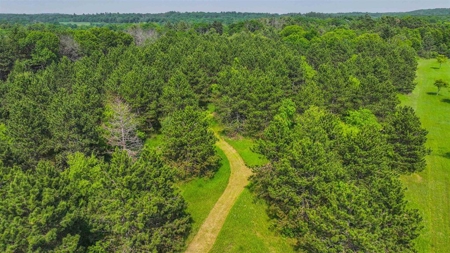 Vacant Land For Sale in Waupaca, WI - image 6