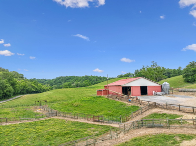 Farm for Sale with the Ability to run cattle, row crop and Equine - image 8