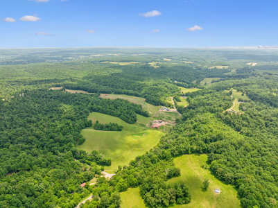 Farm for Sale with the Ability to run cattle, row crop and Equine - image 13