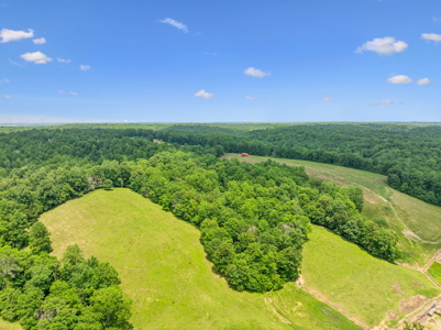 Farm for Sale with the Ability to run cattle, row crop and Equine - image 3