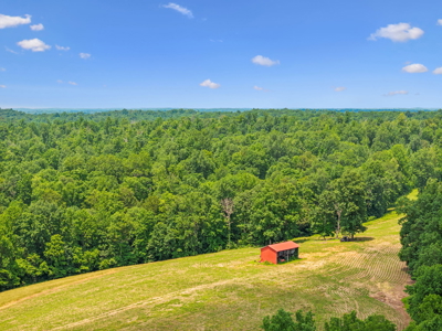 Farm for Sale with the Ability to run cattle, row crop and Equine - image 14