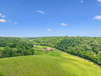 Farm for Sale with the Ability to run cattle, row crop and Equine - image 2