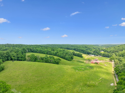 Farm for Sale with the Ability to run cattle, row crop and Equine - image 1
