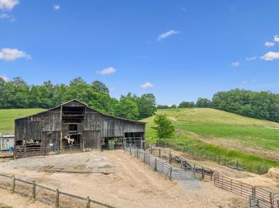 Farm for Sale with the Ability to run cattle, row crop and Equine - image 9