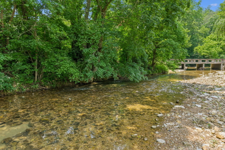 Farm for Sale with the Ability to run cattle, row crop and Equine - image 6