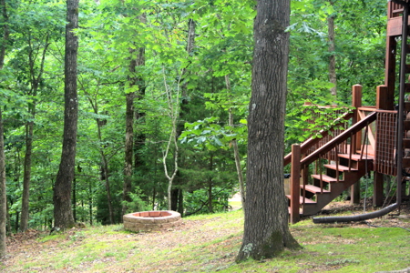 Waterfront Log Cabin in the Woods located in Eureka Springs, AR - image 5