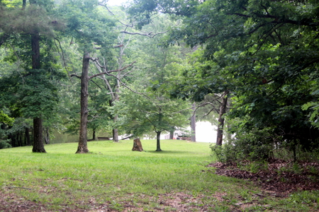Waterfront Log Cabin in the Woods located in Eureka Springs, AR - image 6