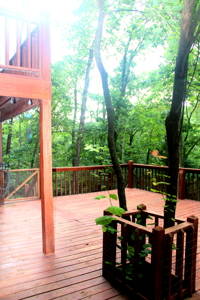 Waterfront Log Cabin in the Woods located in Eureka Springs, AR - image 2