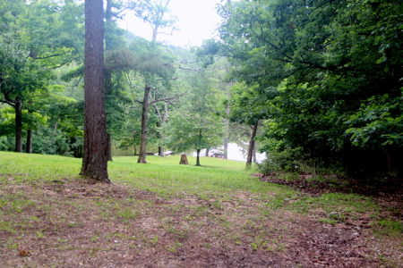 Waterfront Log Cabin in the Woods located in Eureka Springs, AR - image 4
