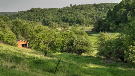 More than a place to live, it's a retreat for the entire family! - image 41