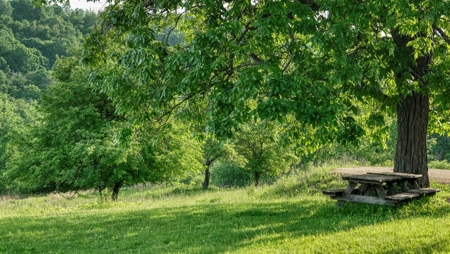 More than a place to live, it's a retreat for the entire family! - image 40