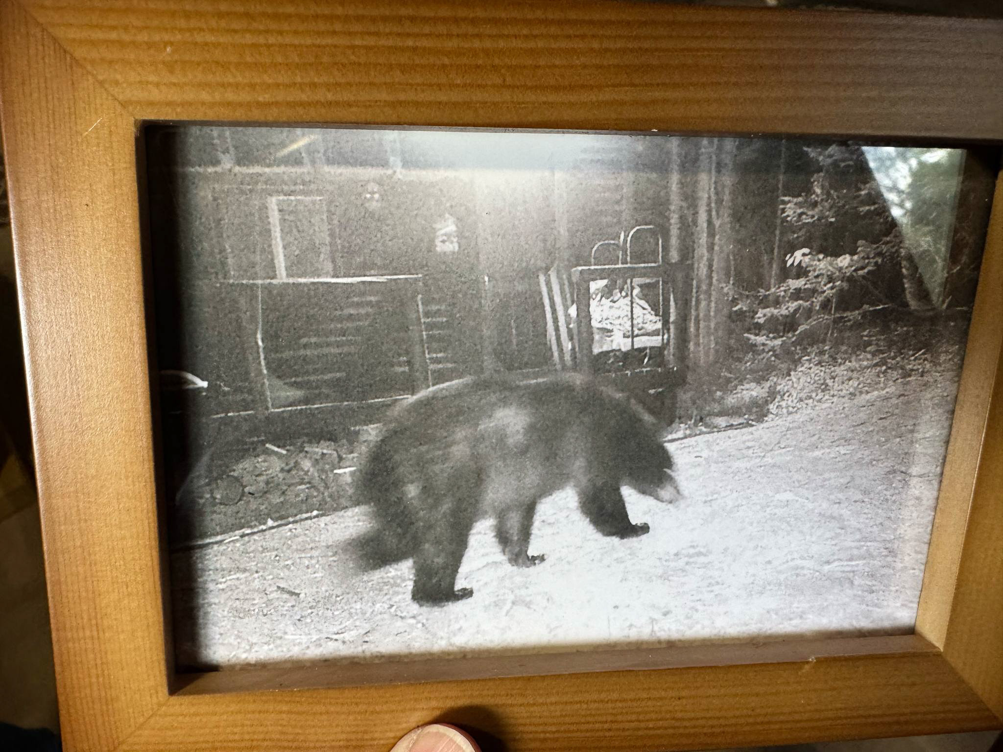 The Best Airbnb Cabins for Going Off-Grid in Style This Winter