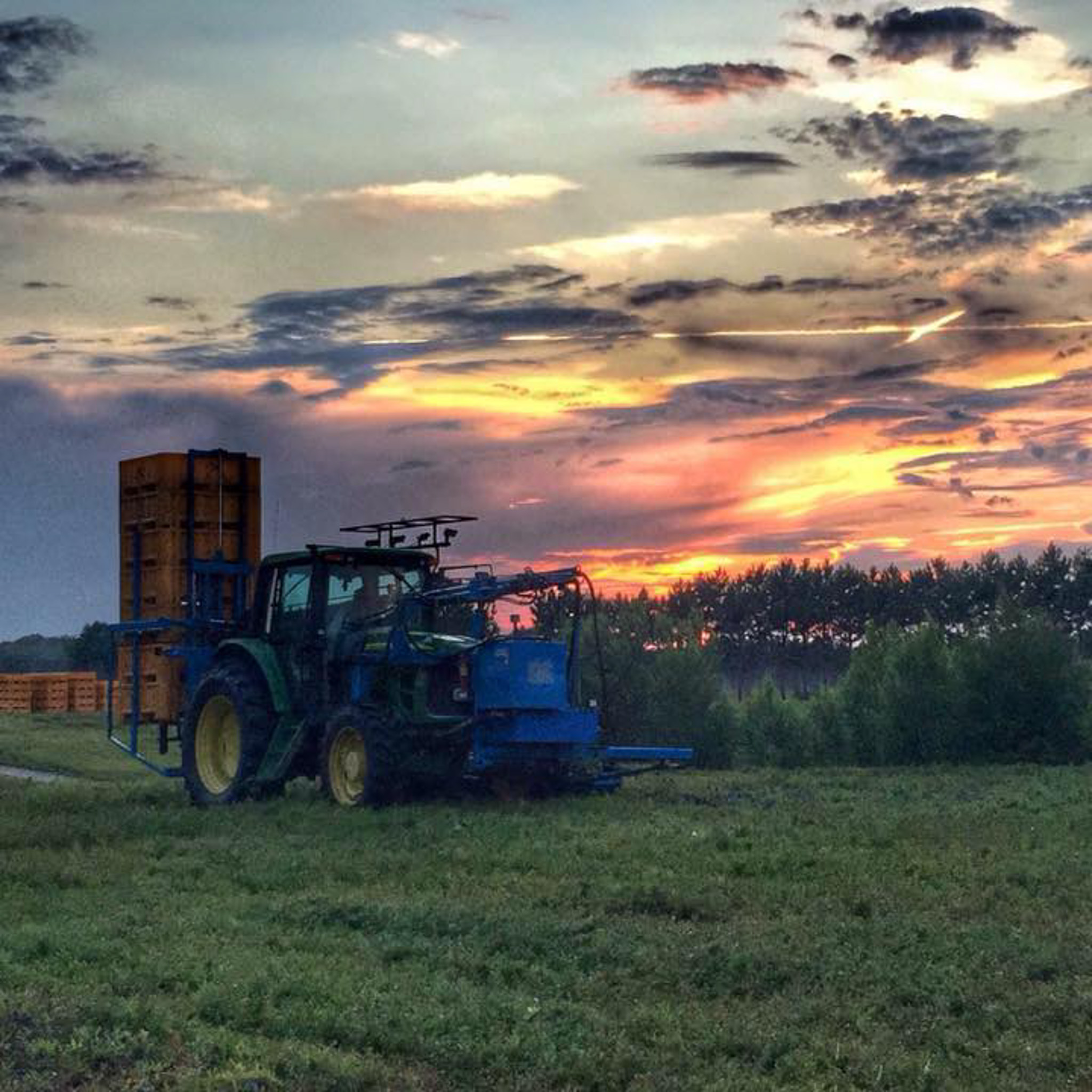 Picture of I Built a Small Cozy Home in the Forest to Live Off Grid_part021