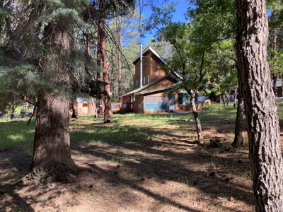 Charming Cabin Near The Brazos Cliffs - image 23