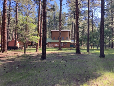 Charming Cabin Near The Brazos Cliffs - image 21