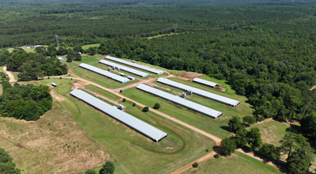 6 House Broiler Poultry Farm Dubach, Louisiana - image 1