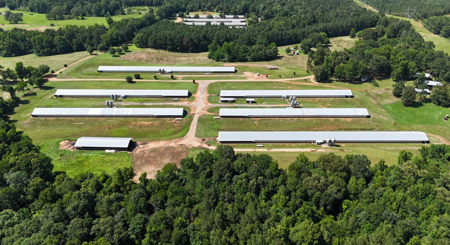 6 House Broiler Poultry Farm Dubach, Louisiana - image 3