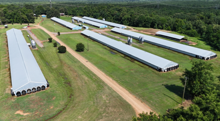 6 House Broiler Poultry Farm Dubach, Louisiana - image 5