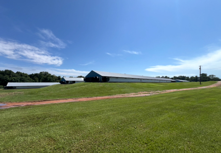 6 House Broiler Poultry Farm Dubach, Louisiana - image 40