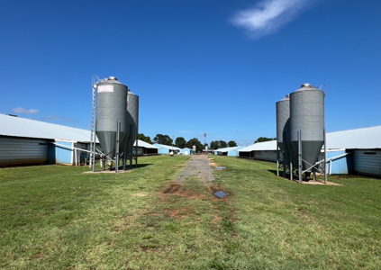 6 House Broiler Poultry Farm Dubach, Louisiana - image 13