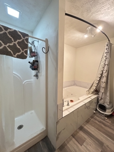 Versitle home for multi families for sale Highland AR - image 16