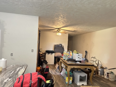 Versitle home for multi families for sale Highland AR - image 9