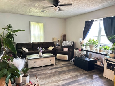 Versitle home for multi families for sale Highland AR - image 25