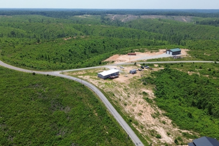 Country Home for Sale in Lewis County, Tennessee - image 13